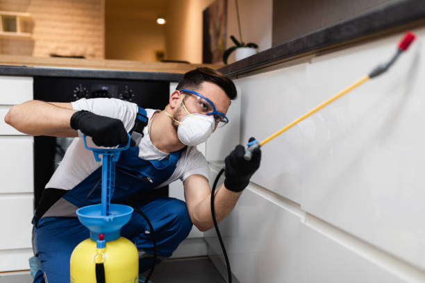 Best Local Pest Control Services  in Luling, LA