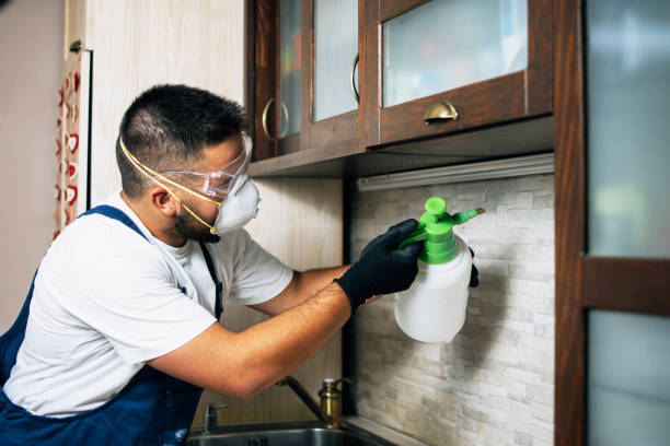 Best Rat Extermination Near Me  in Luling, LA