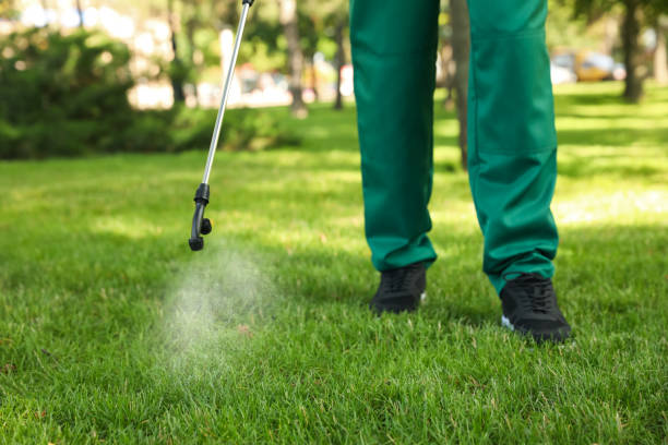 Pest Control for Restaurants in Luling, LA