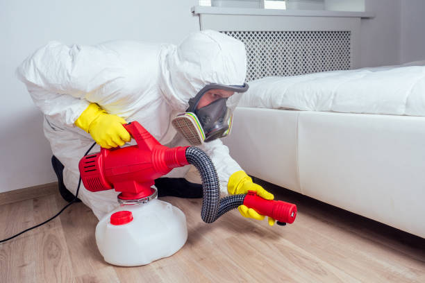 Best Flea Control Services  in Luling, LA