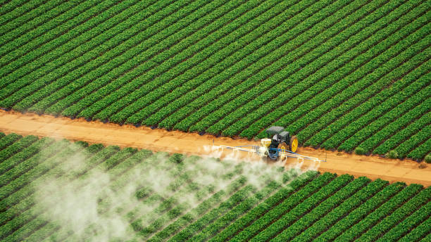 Pest Prevention Services in Luling, LA
