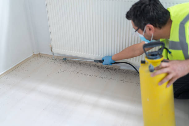Best Bed Bug Extermination  in Luling, LA